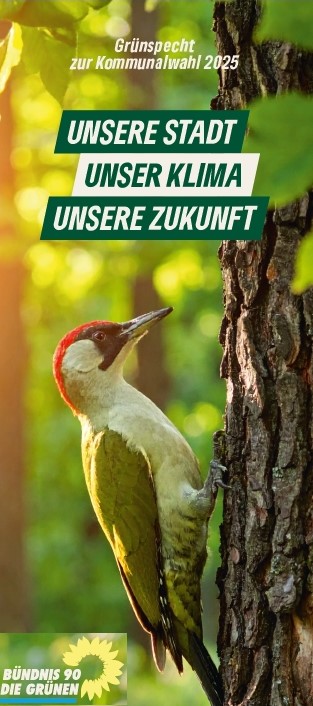 Grünspecht-2025